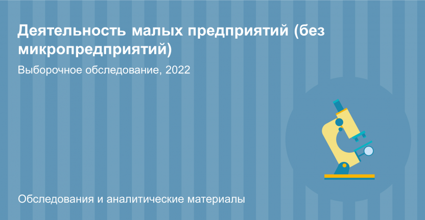 Деятельность малых предприятий  (без микропредприятий) Челябинской области  в  2022 году